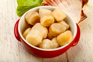 Raw scallops heap