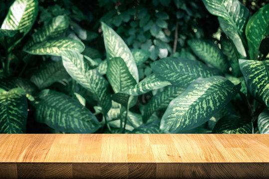 Fototapeta Empty of wood table top on beautiful leaf from garden backgrounds.For montage product display or key visual