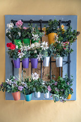 Naklejka premium Flower Pot Display on Metal Bars on the Wall