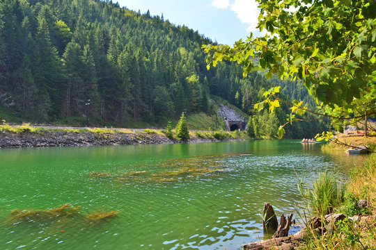 Forest and lake, Dedinky, Slovakia