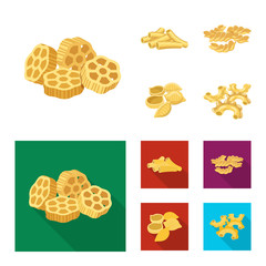 Isolated object of pasta and carbohydrate icon. Set of pasta and macaroni stock vector illustration.