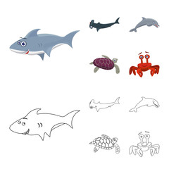 Isolated object of sea and animal logo. Collection of sea and marine stock vector illustration.