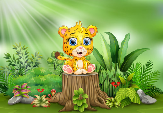 Cartoon a baby leopard sitting on tree stump with green plants