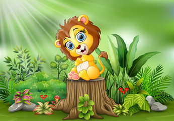 Obraz na płótnie Canvas Cute baby lion sitting on tree stump with green plants