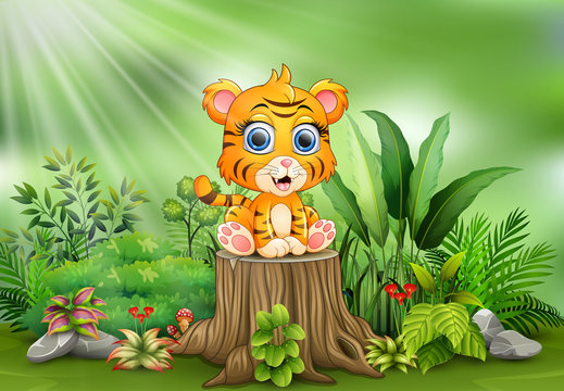Cute baby tiger sitting on tree stump with green plants background