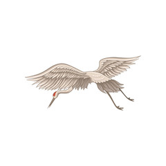 Crane in flying action. Wild creature. Large bird with red skin on head, long beak, legs and neck. Flat vector design