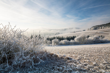 Raureifmorgen am Hegaublick
