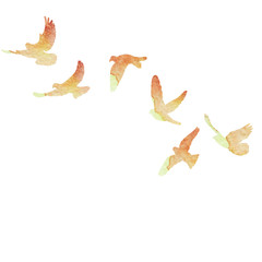 watercolor silhouette of pigeons