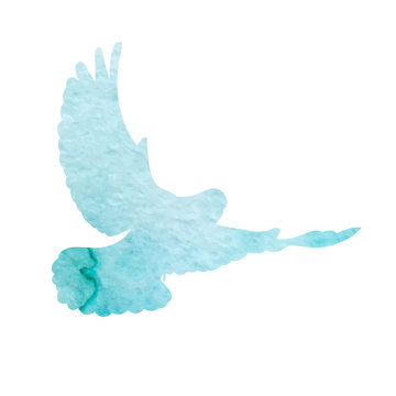  isolated, dove, bird flies, blue watercolor silhouette
