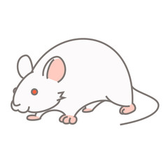 実験用マウス