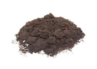 earth isolated on white background