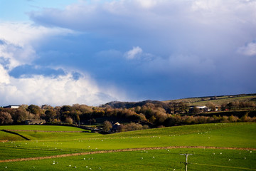 Obraz premium Rain clouds, sunshine and winter trees, West Yorkshire, England, UK.