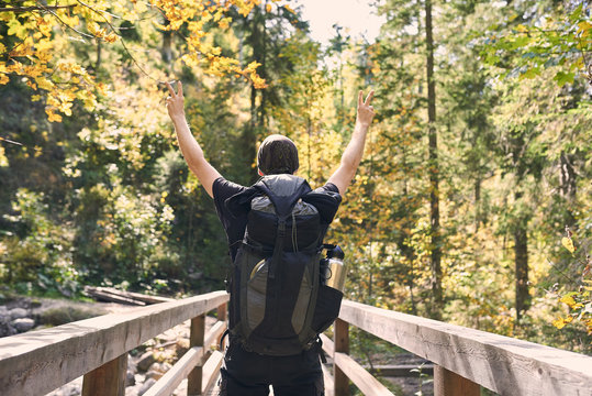 Mann von hinten in Siegerpose auf einer Br&uuml;cke im Wald, genie&szlig;t die Freiheit