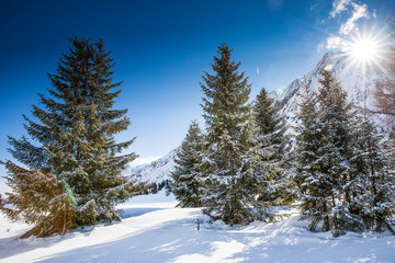 Stunning winter sunrise over Adamello, Presanella mountains from Tonale town, Italian Alps, Europe