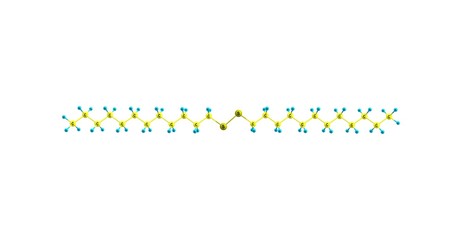 Didodecyl disulfide molecular structure isolated on white