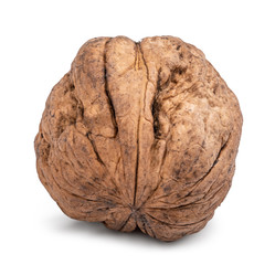 Fototapeta premium Walnut isolated on white background