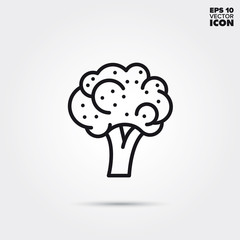 Broccoli vegetable vector line icon
