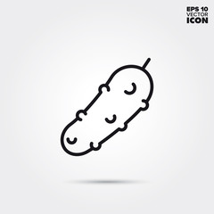 Gherkin vegetable vector line icon