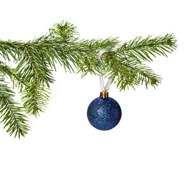 Blue Christmas ball decoration hanging on pine branch