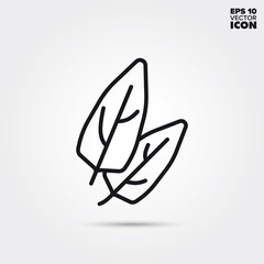 Spinach vegetable vector line icon