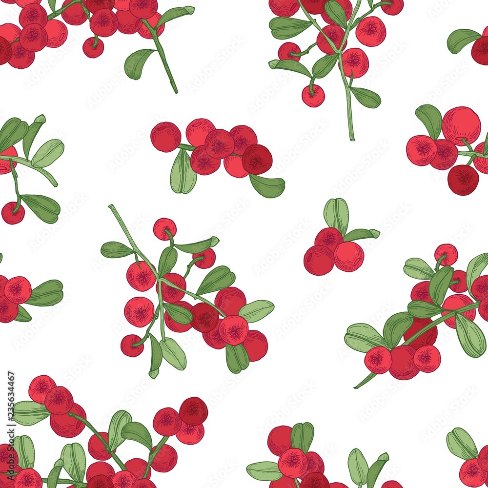 Poster seamless pattern with arctic lingonberry on white background. backdrop with partridgeberry or cowber