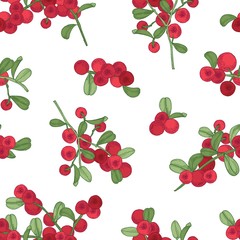 Seamless pattern with arctic lingonberry on white background. Backdrop with partridgeberry or cowberry. Hand drawn vector illustration in vintage style for textile print, wallpaper, wrapping paper.