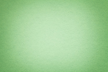 Texture of old green paper background, closeup. Structure of dense light olive cardboard.