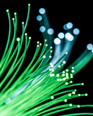 Bundle of optical fibers with green light. Black background.
