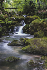 An alpine creek flowing through green stones with moss. Flowing stream, long exposure, blurred water in the forest.
