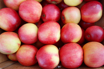 pile of red apples