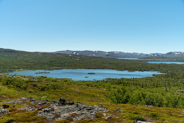 Fototapeta na wymiar View of the Swedish highlands in summer sunshine