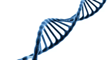 Concept of biochemistry with dna molecule isolated in white background, 3d rendering © vladimircaribb