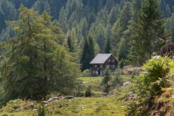Auf dem Kreuzeck