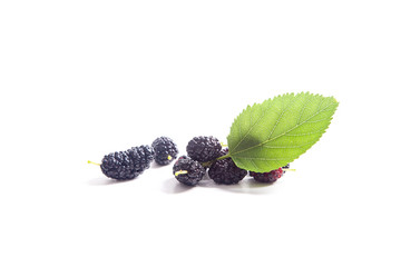 Heap of black mulberry fruit with leaf isolated on white.