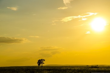 Obraz na płótnie Canvas sunset on field