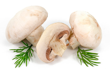 white mushrooms and greens on a white background