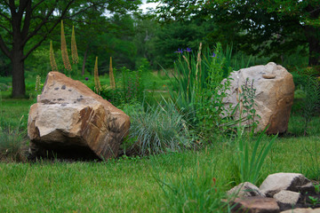 Fototapeta premium stones in the forest