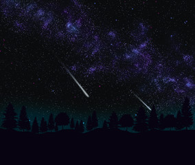 Landscape. Milky Way, forest and meteor shower