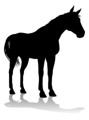 A horse animal detailed silhouette graphic
