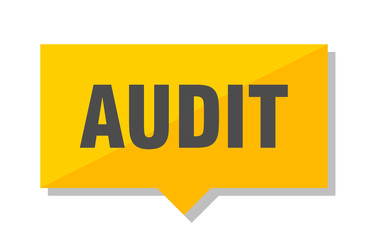 audit price tag