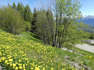 paysage de montagne, haute savoie ,73,maurienne,