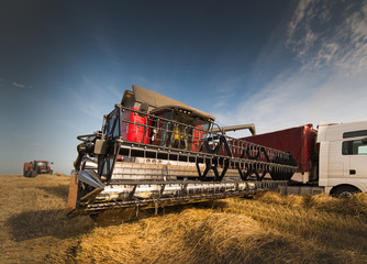 Fototapeta premium Pouring wheat grain into tractor trailer after harvest