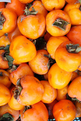 Fresh persimmon fruits. paradise apple pattern.