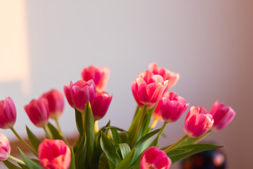 bouquet of tulips