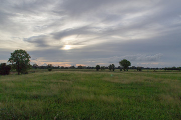 landscape with green field and blue sky