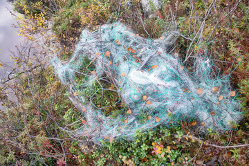 Fishing line net thrown on the shore of a forest lake
