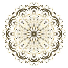 Mandala Style Vector Shapes. Decorative Cicle ornament. Floral design.