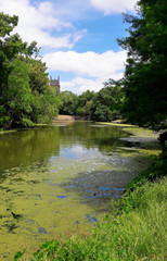 Fototapeta na wymiar Audubon Park in New Orleans