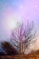 Fototapeta na wymiar fantasy landscape tree and purple sky