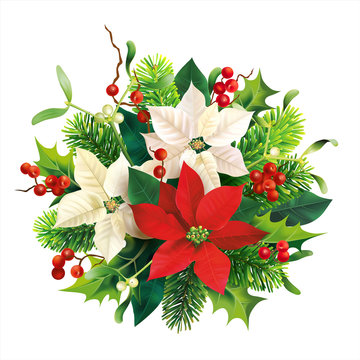 Christmas decoration with red and white poinsettia, fir, mistletoe and holly branches. Isolated on white. Vector illustration.